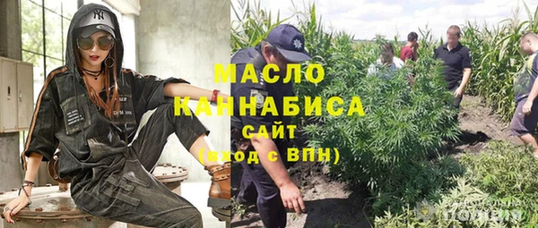 гашик Арсеньев
