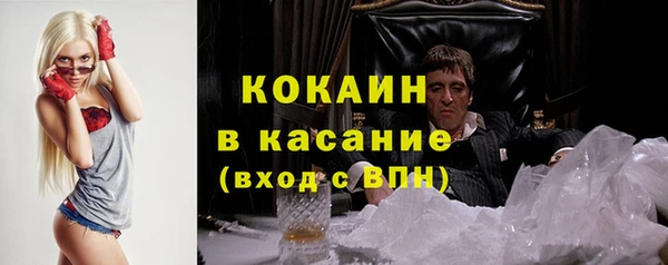 гашик Арсеньев