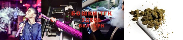 гашик Арсеньев