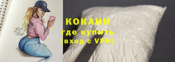 гашик Арсеньев