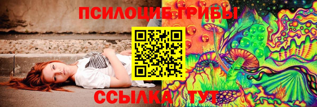Галлюциногенные грибы MAGIC MUSHROOMS  Вход с VPN  Усть-Джегута 
